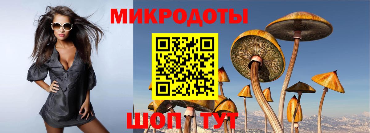 Псилоцибиновые грибы ЛСД Рубцовск